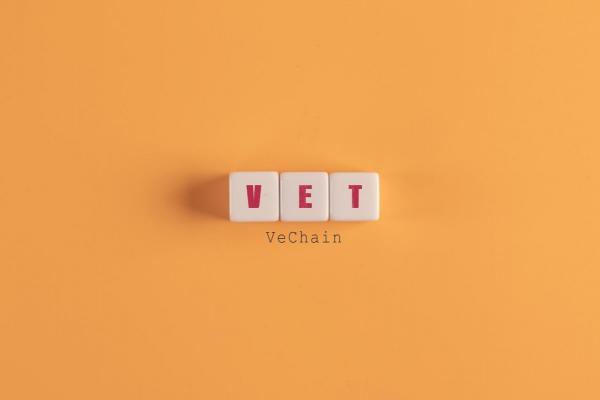 Vet Crypto: una blockchain una moneda que no para de crecer