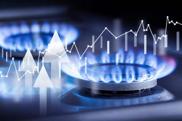 Gas Natural Henry Hub y su Mercado