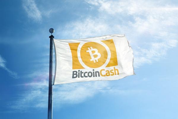 Logotipo de Bitcoin Cash