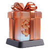 gift