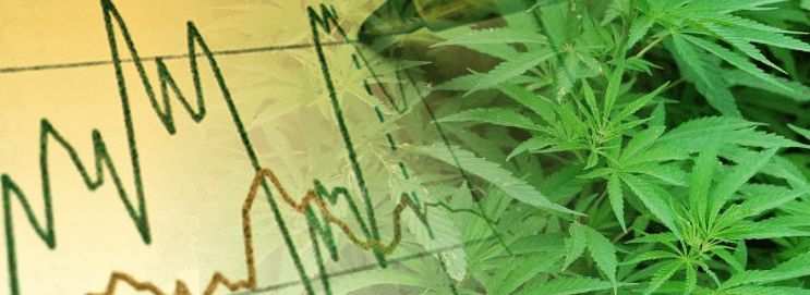 Stocks prices of cannabis producers are going down