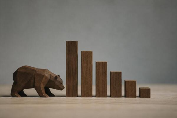 What to Do in a Bear Market
