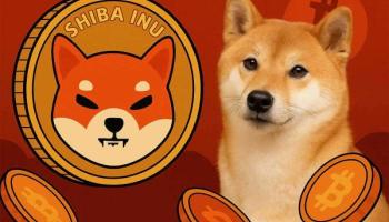 Raza de perro Shiba Inu, en la que está inspirada la criptomoneda SHIB.
