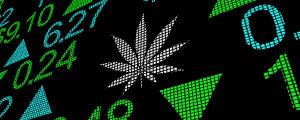 As ações de cannabis estão a esfumar-se? Nada de paranoias
