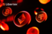 Bitcoin at $80,000: A New Floor or the Last Line of Defence?